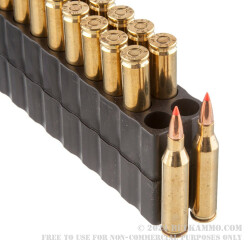 20 Rounds of .243 Win Ammo by Black Hills Gold - 80gr GMX