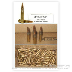 500  Rounds of .308 Win Ammo by Federal - 149gr FMJ