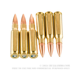 20 Rounds of .308 Win Ammo by Federal Gold Medal CenterStrike - 175gr OTM
