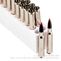 20 Rounds of 30-06 Springfield Ammo by Winchester AccuBond CT - 180gr Polymer Tipped