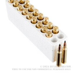 20 Rounds of .223 Ammo by Winchester - 55gr Polymer Tipped