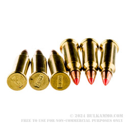 50 Rounds of .17 WSM Ammo by Hornady Varmint Express - 20gr V-MAX