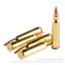 20 Rounds of .223 Ammo by Federal - 55gr FMJ