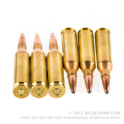 20 Rounds of .243 Win Ammo by Remington - 100gr PSP