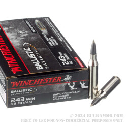 20 Rounds of .243 Win Ammo by Winchester Ballistic SilverTip - 95gr Polymer Tipped