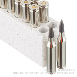 20 Rounds of .243 Win Ammo by Winchester Ballistic SilverTip - 95gr Polymer Tipped