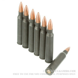 20 Rounds of .223 Ammo by Wolf WPA - 55gr FMJ