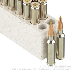 20 Rounds of 6.5 Creedmoor Ammo by Browning BXS - 120gr Solid Expansion