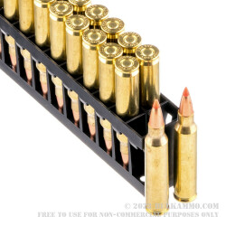 200 Rounds of .223 Ammo by Hornady Superformance Varmint - 53gr Polymer Tipped
