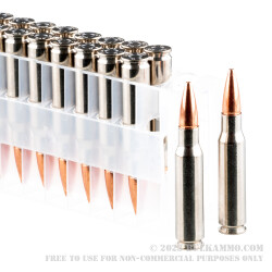 20 Rounds of .308 Win Ammo by Federal - 165gr TSX Barnes