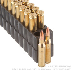 20 Rounds of .243 Win Ammo by Black Hills Gold Ammunition - 85gr TSX