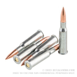 20 Rounds of 7.62x54r Ammo by Silver Bear - 174gr FMJ