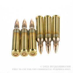 200 Rounds of 5.56x45 Ammo in Plastic Battle Packs by PMC - 55gr FMJ