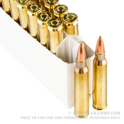 20 Rounds of .223 Ammo by Prvi Partizan - 62gr FMJBT