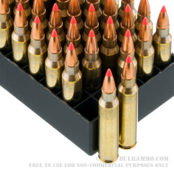 1000 Rounds of .223 Ammo by Fiocchi - 55gr V-MAX