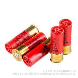 25 Rounds of 12ga Ammo by Winchester - 1 1/8 ounce BB (Steel)
