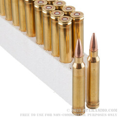 20 Rounds of .300 Win Mag Ammo by Black Hills Gold - 180gr TSX