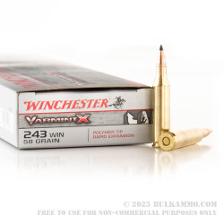 40 Rounds of .243 Win Ammo by Winchester - 58 Grain Polymer Tipped