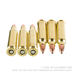 20 Rounds of .223 Ammo by Barnes - 55gr JHP BT