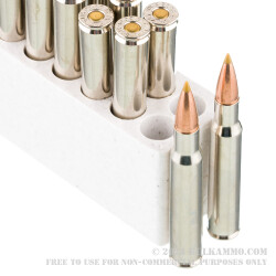 20 Rounds of 30-06 Springfield Ammo by Browning BXS Copper Expansion - 180gr Polymer Tipped