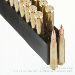 20 Rounds of .300 H&H Mag Ammo by Hornady - 180gr Interbond