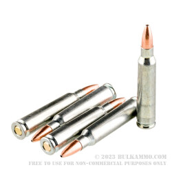 500  Rounds of .223 Ammo by Silver Bear - 62gr HP