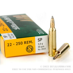 20 Rounds of .22-250 Rem Ammo by Sellier & Bellot - 55gr SP