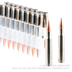 200 Rounds of 30-06 Springfield Ammo by Federal - 165gr TSX