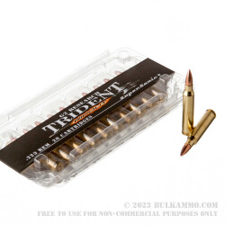 20 Rounds of .223 Ammo by G2 Research Trident - 65gr HP