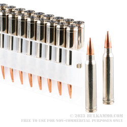 20 Rounds of .300 Win Mag Ammo by Federal - 165gr TSX