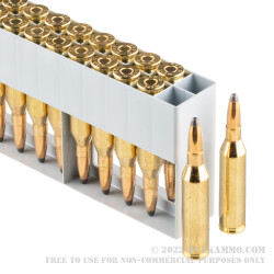 20 Rounds of .243 Win Ammo by Sellier & Bellot - 100gr SP