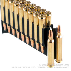 20 Rounds of .300 Win Mag Ammo by Nosler Trophy Grade Ammunition - 180gr Polymer Tipped