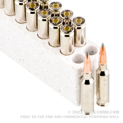 20 Rounds of 6.5 mm Creedmoor Ammo by Winchester Expedition - 142gr Nosler Accubond