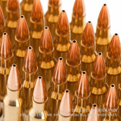 500  Rounds of .223 Ammo by Hornady - 52gr HPBT
