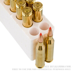20 Rounds of .243 Win Ammo by Black Hills Gold - 95gr Polymer Tipped
