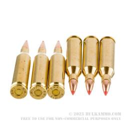 20 Rounds of .243 Win Ammo by Black Hills Gold - 95gr Polymer Tipped