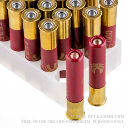 200 Rounds of .410 Ammo by Federal -  000 Buck