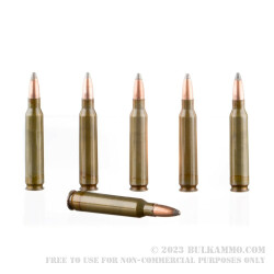 20 Rounds of .223 Ammo by Brown Bear - 62gr SP