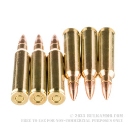 20 Rounds of .223 Ammo by PMC - 55gr FMJBT
