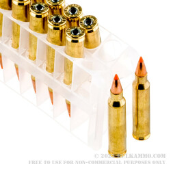 500  Rounds of .223 Ammo by Federal - 55gr Nosler Ballistic Tip