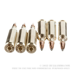 20 Rounds of .243 Win Ammo by Winchester - 100gr PP