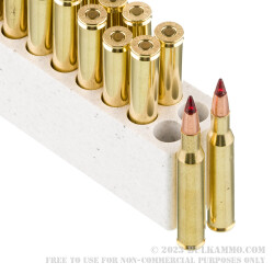 20 Rounds of .270 Win Ammo by Winchester Copper Impact - 130gr Copper Extreme Point