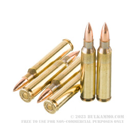 1000 Rounds of .223 Ammo by Fiocchi - 62gr FMJBT