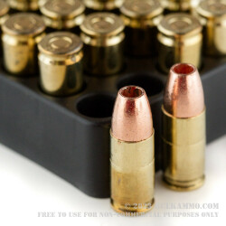 20 Rounds of 9mm Ammo by Corbon - 95gr DPX