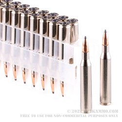 20 Rounds of 25-06 Remington Ammo by Federal - 117gr SPBT