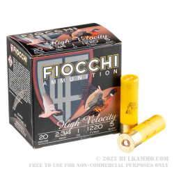 25 Rounds of 20ga Ammo by Fiocchi - 1 ounce #5 shot