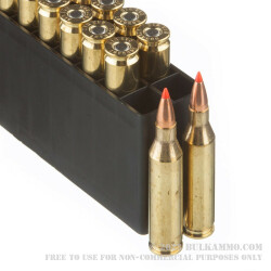 20 Rounds of .243 Win Ammo by Hornady Superformance Varmint - 58 Grain V-Max