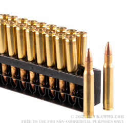 20 Rounds of 30-06 Springfield Ammo by Remington - 125gr PSP