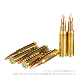 20 Rounds of 7.62x51 Ammo by Sellier & Bellot Subsonic - 200gr FMJ