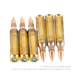 20 Rounds of 5.56x45 Ammo by Federal American Eagle - 55gr FMJBT XM193